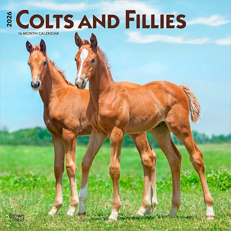 2026 BrownTrout Colts and Fillies 12" x 12" Monthly Wall Calendar (9798330703012) image 1