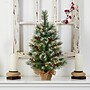 Nearly Natural Snow Tipped Pine and Berry Artificial Christmas Tree, 2' (T3326)~#|#~58847BD0-E155-4784-B4AB7DCBCA136254_sc7