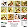 2026 Willow Creek Gettin' Squirrelly 12" x 12" Monthly Wall Calendar (51252X)~#|#~589449F3-CA5D-4384-8DC395688173DBC2_sc7
