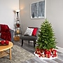 Nearly Natural Colorado Mountain Fir Natural Look Artificial Christmas Tree, 4' (T1685)~#|#~58DA440A-00C0-44EE-96E0F408C55EB7CE_sc7