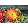 S&S 24-Piece Thera Jigsaw Foam Puzzle, 4 Puzzles/Set (19210)~#|#~58EAF983-F601-45DB-B1569D3C53592F66_sc7