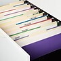 Staples Heavy Duty Hanging File Folders, 1/5-Cut Tab, Legal Size, Assorted Colors, 25/Box (345001)~#|#~58EE7AF5-DBFE-448B-B80277A1814C80E9_sc7