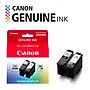 Canon PG-295XL/CL-286XL Black/Tri-Color High Yield Ink Cartridges, 2/Pack (7164C004)~#|#~58F9AD9B-482F-41CF-ACFEEC5D5F4DD289_sc7