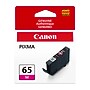 Canon 65 M Magenta Standard Yield Ink Cartridge (4217C002)~#|#~5907931F-5C31-4EC4-B27C7E70576BAF8E_sc7
