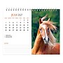 2027 BrownTrout Horse Lovers 7.5" x 6" Monthly Wall Calendar, Assorted Colors (9798330709397)~#|#~59116504-17A2-4ECF-B72234D539B626A4_sc7