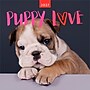 2027 BrownTrout Puppy Love 12" x 12" Monthly Wall Calendar (9347301107344)~#|#~591ADFB9-07E4-4A8E-8D6C132576C40067_sc7