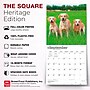 2027 BrownTrout Yellow Labrador Retrievers 12" x 12" Monthly Wall Calendar (9798330712571)~#|#~59236147-F22C-4825-B6B133156BBD19DF_sc7