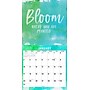 2027 Willow Creek Grateful, Thankful, Blessed 12" x 12" Monthly Wall Calendar, Assorted Colors (60513)~#|#~59289BC1-CB9B-4A4C-A1508157AE818FFD_sc7