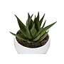 Monarch Specialties Inc. 6" Artificial Succulent Plant in Pot, 3/Set (I 9555)~#|#~592AB62D-02D9-416A-8E33864C89884747_sc7