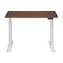 FlexiSpot E7 Commercial 48''W Electric Rectangular Adjustable Standing Desk, Black Walnut/White (E7WCOM4824-BW)~#|#~5941DB63-A4EB-4755-A9E3EA4DF530CFC7_sc7
