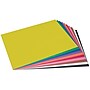 Prang 18" x 24" Construction Paper, Assorted Colors, 100 Sheets/Pack (PAC6518)~#|#~5945C287-1313-4822-BA2B3420238D27EE_sc7