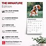 2027 BrownTrout Cavalier King Charles Spaniel Puppies 7" x 7" Monthly Wall Calendar, Assorted Colors (9798330709953)~#|#~595B4B6F-929A-4509-982C180C730483AB_sc7