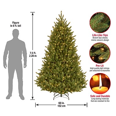 National Tree Company 7.5' Pre-Lit Natural Fraser Fir Artificial Christmas Tree - Thumbnail 2