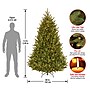 National Tree Company Natural Fraser Fir Artificial Christmas Tree (NAFFMH7-75LO)~#|#~596B481F-96E5-4668-BC56BB41CCF13F82_sc7