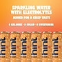 Hint Tangerine Sparkling Water with Electrolytes, 12 fl. oz., 12 Cans/Carton (HINT-TANGCAN-E)~#|#~596EA974-7095-4308-8C6F017CC31F907D_sc7