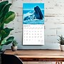 2026 BrownTrout California Nature 12" x 12" Monthly Wall Calendar (9798330702732)~#|#~5988AB25-7D6E-4444-80C6F8D935B148E2_sc7