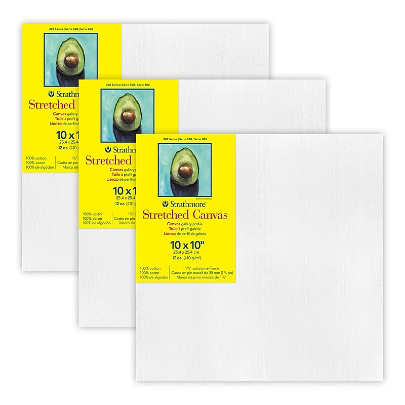 Strathmore 300 Series Primed White Stretched Canvas, 10" x 10", 3/Pack, 3/Bundle (STT31410-3) image 1