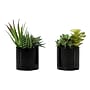 Monarch Specialties Inc. 7" Artificial Succulent Plant in Pot, 2/Set (I 9554)~#|#~59AC4E4B-FCAF-4D55-B4148C64B5A7C7F5_sc7