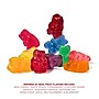 Albanese True to Fruit Variety Fruit Gummies, 2.5 oz., 24/Pack (220-02419)~#|#~59B22207-6792-45D0-A41EAF18693FD2E0_sc7