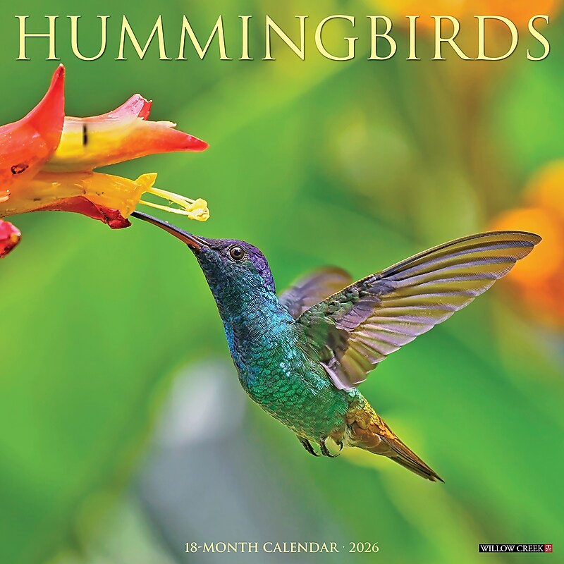 2026 Willow Creek Hummingbirds 12" x 12" Monthly Wall Calendar (51528X) image 1