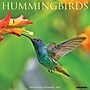 2026 Willow Creek Hummingbirds 12" x 12" Monthly Wall Calendar (51528X)~#|#~59B238CB-2DF3-4118-A92FDCE4E4BF3D9C_sc7