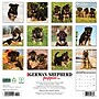 2026 Willow Creek German Shepherd Puppies 12" x 12" Monthly Wall Calendar (51221)~#|#~59B83A19-28A8-4D50-B5F8B1621389C549_sc7