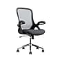 Click365 Ergonomic Fabric/Mesh Swivel Task Chair, Gray (CCHR10003B)~#|#~59C9F24D-71F7-4BDB-A4C9F622EBCF0E05_sc7