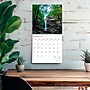 2026 BrownTrout Arkansas Wild & Scenic 12" x 12" Monthly Wall Calendar (9798330702152)~#|#~59CD2B2E-5377-448A-A807CCDEB17B19AA_sc7