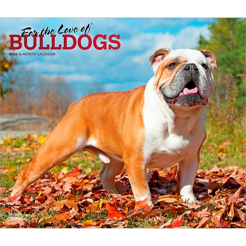 2026 BrownTrout For the Love of Bulldogs 14" x 12" Monthly Wall Calendar (9798330707133) image 1