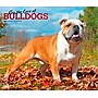 2026 BrownTrout For the Love of Bulldogs 14" x 12" Monthly Wall Calendar (9798330707133)~#|#~59E26277-C4D2-472D-97097EE17078190F_sc7