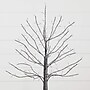 Nearly Natural Pre-Lit Artifiical Halloween Black Twig Tree, 2' (T5203)~#|#~59F67FE3-00DA-4F25-9FF50CD1CA38DD6B_sc7