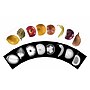 Roylco Plant X-Rays & Picture Cards, 84 Pieces/Set (R-59261)~#|#~5A03EDDC-F6C4-4F69-86774CD93C9AA7E3_sc7
