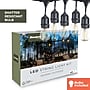 Bulbrite 48-foot String Light Kit with Clear Shatter Resistant Vintage Style S14 LED Light Bulbs (812483)~#|#~5A24602E-74BB-4DD1-84CAB8C1F04E6A71_sc7
