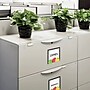Creative Teaching Press Apple Time Apple Cards Designer Cut-Outs, 36/Pack, 3 Packs/Bundle (CTP11054-3)~#|#~5A49E995-B2C7-46AC-96CCA6FF2C178FF7_sc7