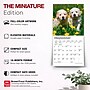 2027 BrownTrout Golden Retriever Puppies 7" x 7" Monthly Wall Calendar, Assorted Colors (9798330710010)~#|#~5A554784-E204-4AF4-9EF3BF6F6E376CA6_sc7