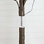 Nearly Natural 6-ft Pre-Lit Artificial Twig Tree with 480 Warm White LED Lights (T4929)~#|#~5A868B58-B0DC-4396-9AFA664D340DF77F_sc7