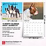 2027 BrownTrout For the Love of Boston Terriers 14" x 12" Monthly Wall Calendar, Assorted Colors (9798330714667)~#|#~5A8D609C-6A9B-4B05-84F6EF88D4573E57_sc7