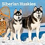 2027 BrownTrout Siberian Huskies 12" x 12" Monthly Wall Calendar (9798330712694)~#|#~5AB4CB0F-3827-4B68-8705D3E3F63D7CC5_sc7