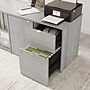 Bush Business Furniture Stratus 24"H Storage Cabinet with 2 Shelves, 2 Drawers, Platinum Gray (SUS130PG)~#|#~5AC68F57-B9B8-4411-A4513E4B0D487A7A_sc7