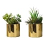 Monarch Specialties Inc. 7" Artificial Succulent Plant in Pot, 2/Set (I 9553)~#|#~5AD23D12-1D6A-4CAC-8D85410102A88C2D_sc7