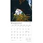 2026 BrownTrout Tennessee Wild & Scenic 12" x 12" Monthly Wall Calendar (9798330705795)~#|#~5ADA3E27-F3CF-461D-96436AEBDACCAA72_sc7