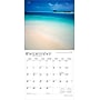 2026 BrownTrout Florida Wild & Scenic 12" x 12" Monthly Wall Calendar (9798330703272)~#|#~5AE6F325-19FC-44E0-B2E587E12C6BD1E5_sc7