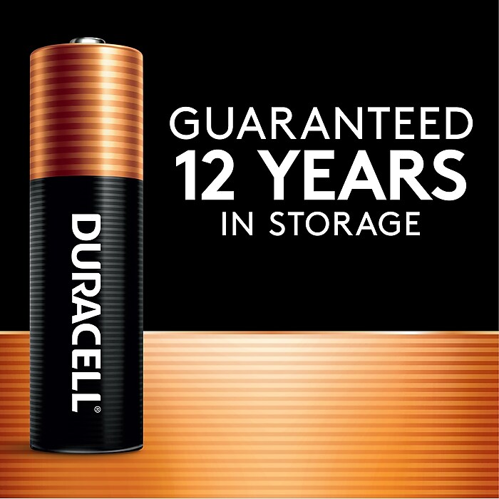ワンピなど最旬ア！ Duracell Coppertop (MN15P36 36/Pack Battery, Alkaline AA ボール