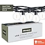 Bulbrite 14-foot String Light Kit with Clear Shatter Resistant Globe G16 LED Light Bulbs (812123)~#|#~5B06D4A8-018F-45E4-B091F690C9E96F2D_sc7
