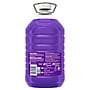 Fabuloso Multi-Purpose Cleaner, Lavender Scent, 169 fl. oz. (153122)~#|#~5B1D2EF0-4FA7-4AED-AFE1A94DEB0849F1_sc7