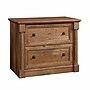 Sauder Palladia 2-Drawer Lateral File Cabinet, Letter/Legal Size, 30"H x 37"W x 22"D, Vintage Oak (420607)~#|#~5B763AAD-2FBC-47AD-8D9F8BF341342C03_sc7