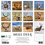 2026 Willow Creek Mule Deer 12" x 12" Monthly Wall Calendar (52051)~#|#~5BB5F6D4-A824-41DD-96BE64337E218146_sc7