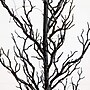 Nearly Natural Pre-Lit Artificial Halloween Black Spooky Twig Tree, 4' (T5235)~#|#~5BF8BB27-F05C-488A-B8EF664C9A4BB947_sc7