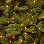 National Tree Company 6.5 ft. Pre-Lit Grande Fir Pencil Slim Artificial Christmas Tree with Clear Lights (PEGF4-334-65)~#|#~5BF8E905-0BD3-400D-A4747D24983A31B0_sc7