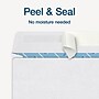 Adams 2025 W-2 Envelopes, Double-Window Design, Security Tinted, Peel & Seal Self-Seal Closure, White, 25/Pack (STAX2-25)~#|#~5C50F09E-72E0-4C72-9716BEC3BE6AD95C_sc7